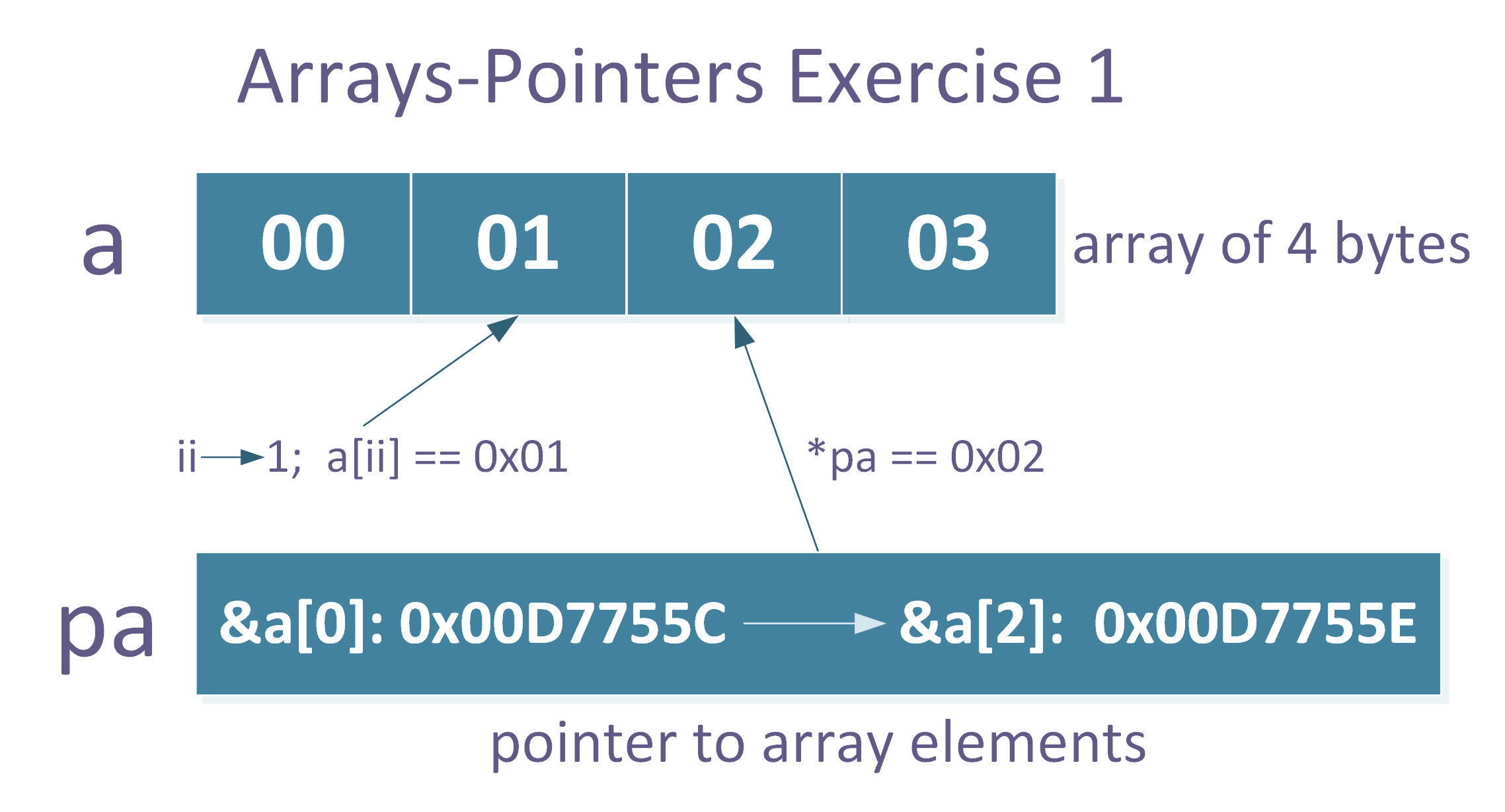 array pointer assignment